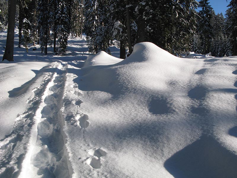 Spuren im Schnee